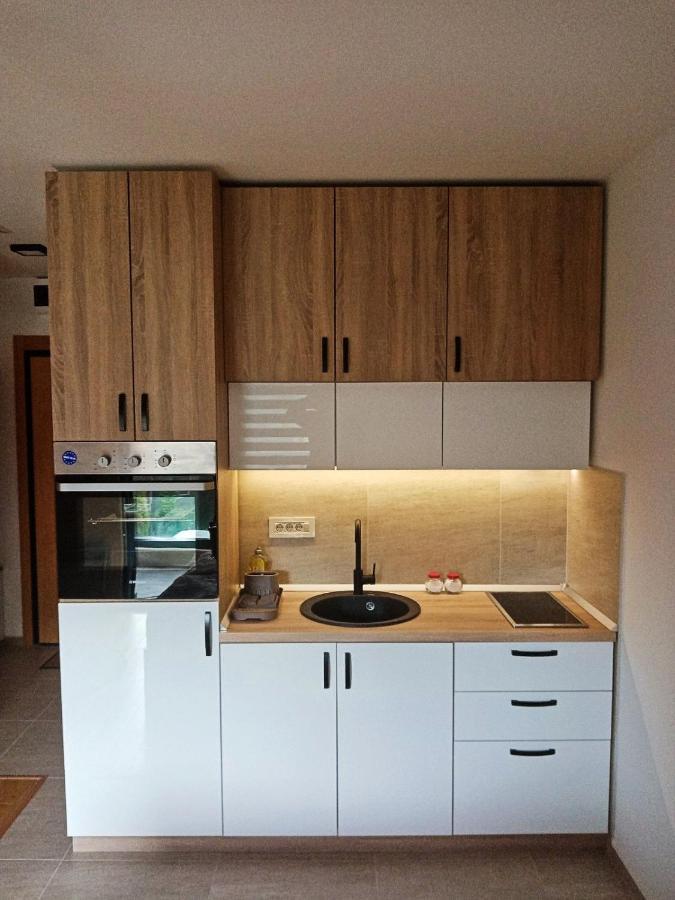 Studio Apartman Gorski Kristal Zlatibor Extérieur photo